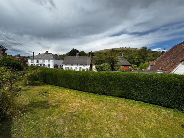 Example garden photo